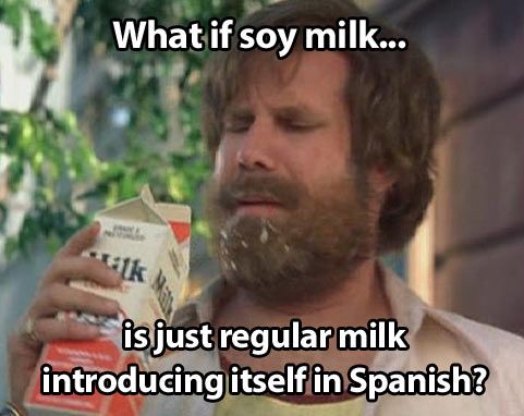 soy milk.jpg