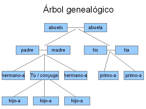arbol_genealogico.JPG